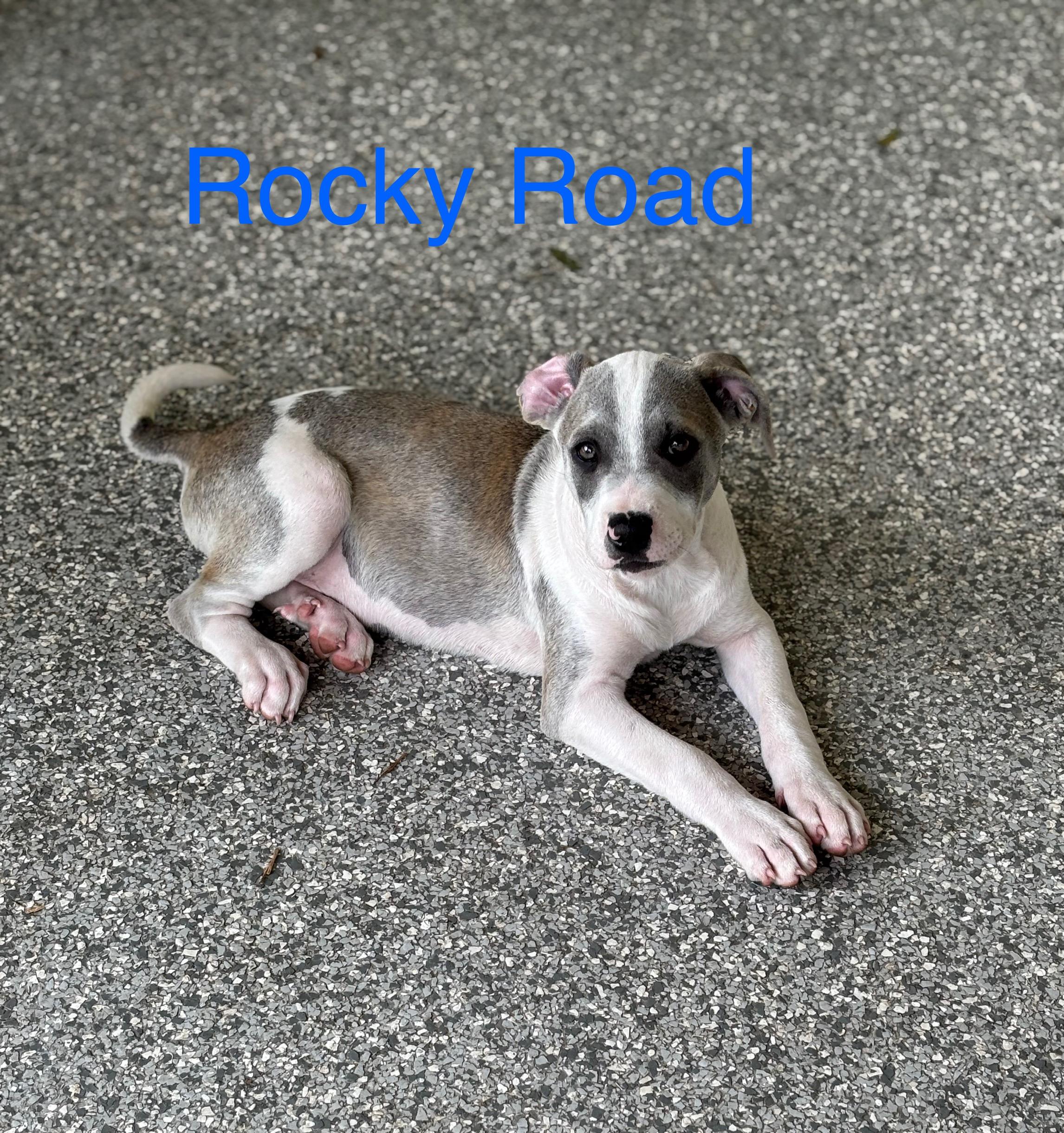 Rocky Road photo 4