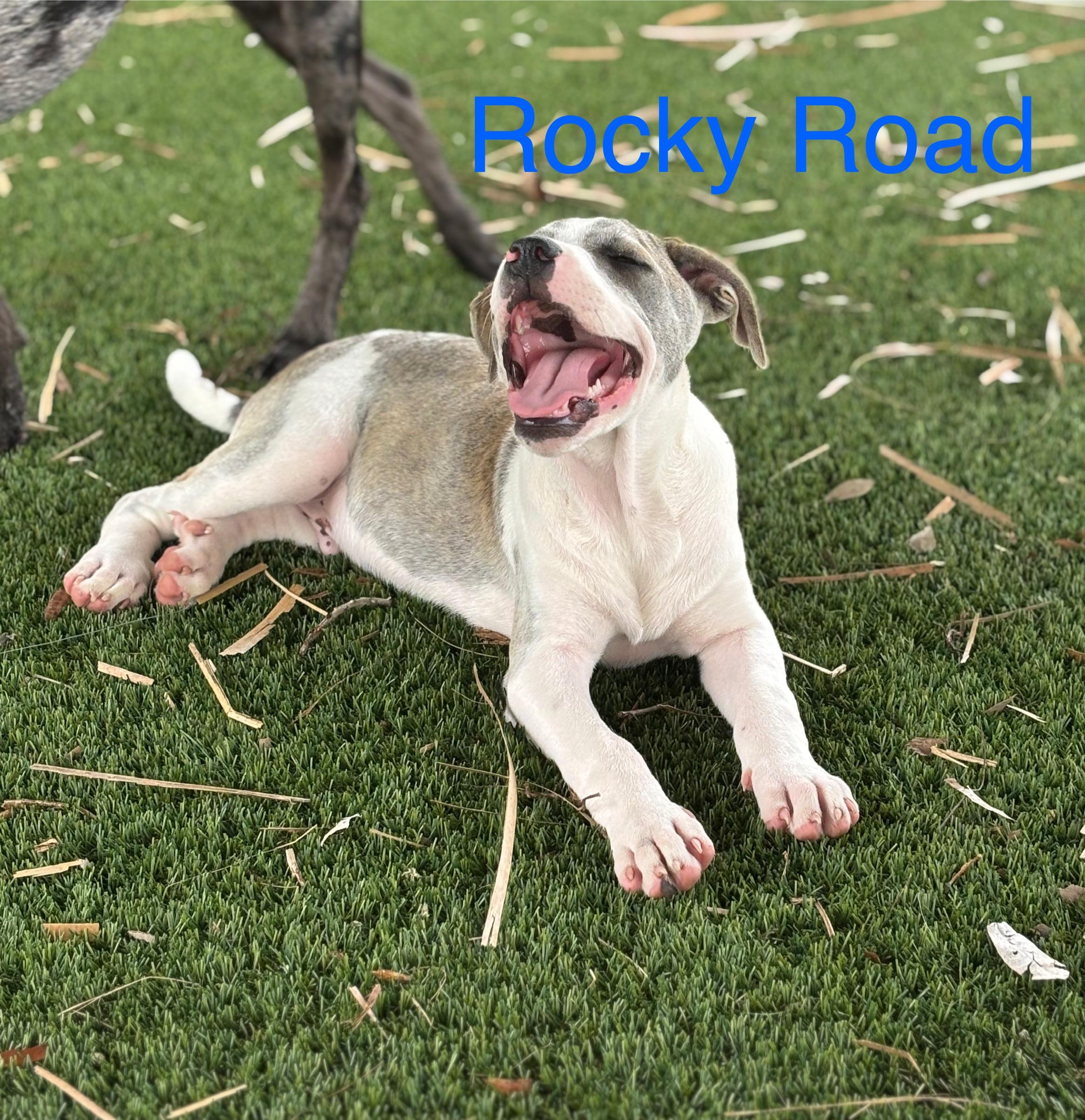 Rocky Road photo 6