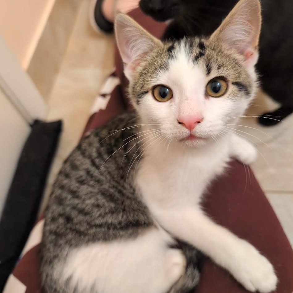 Maddie & Leo thumbnail 4