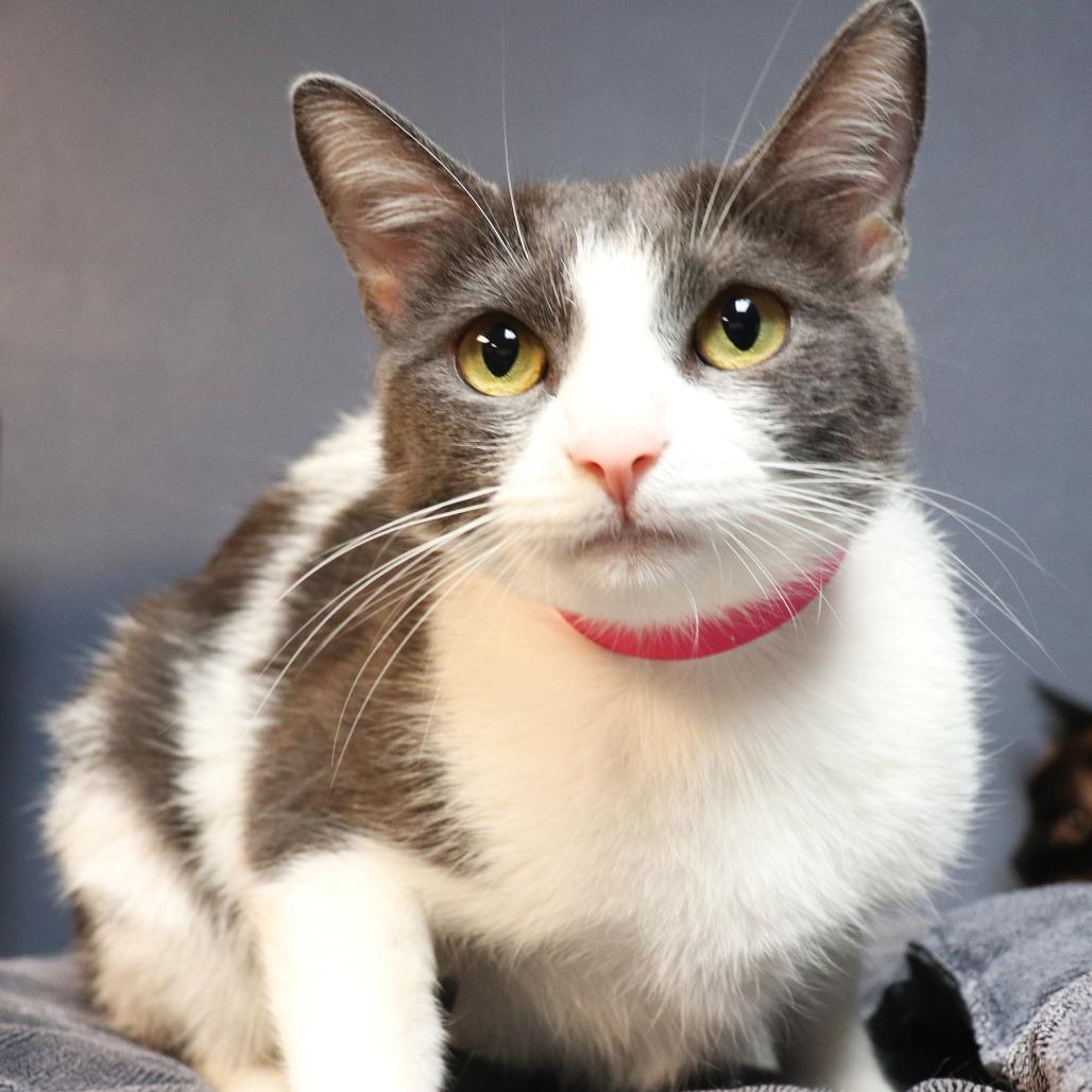 Lucy — thumbnail 2