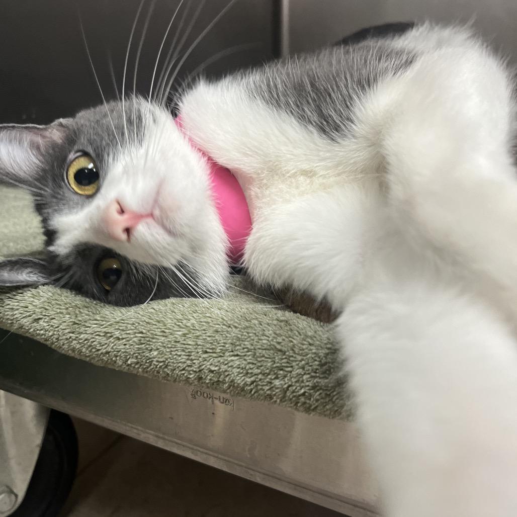 Lucy — thumbnail 5