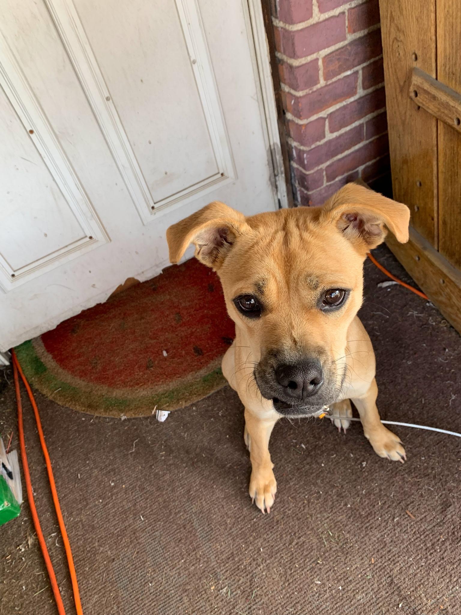 Ella