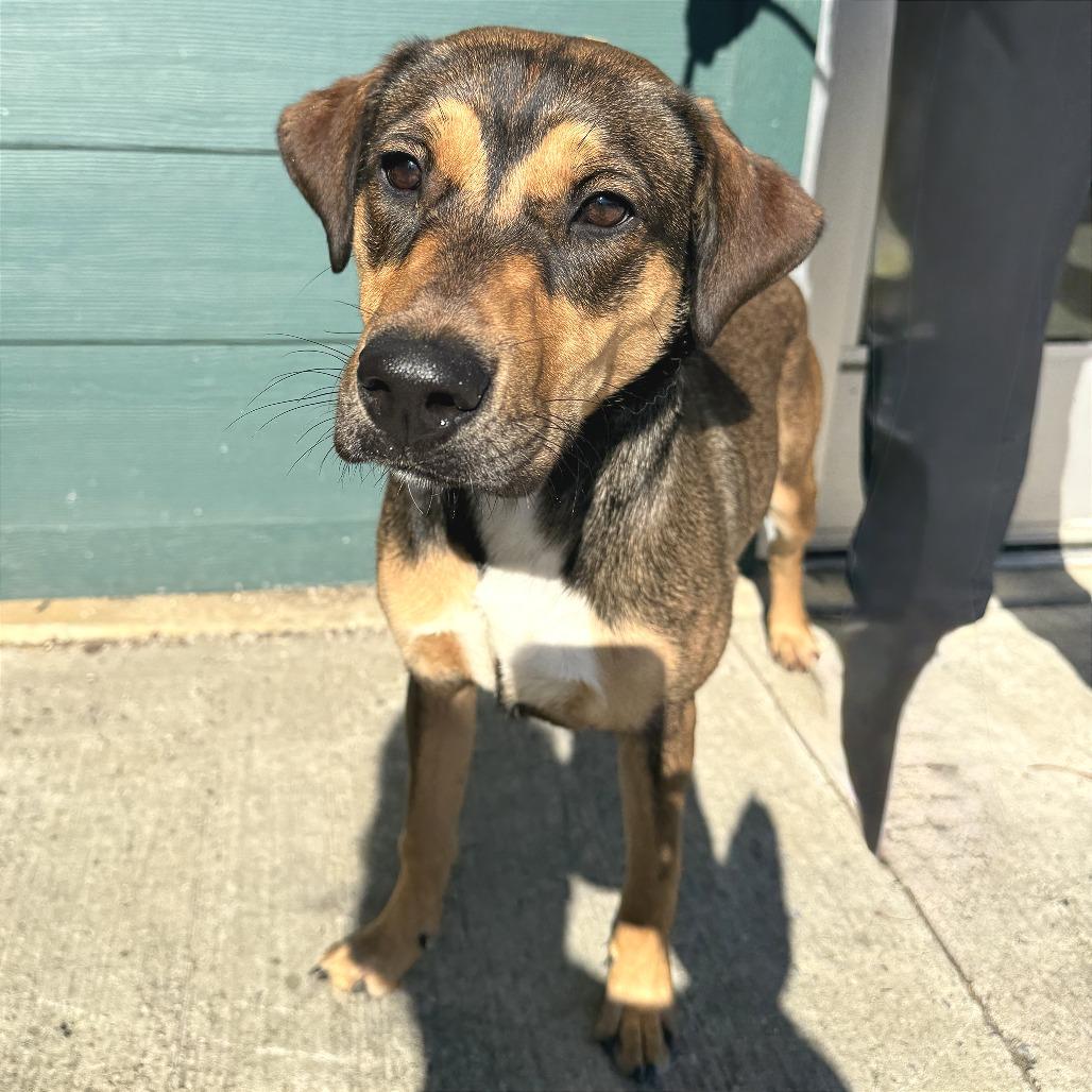 Cherry — thumbnail 2