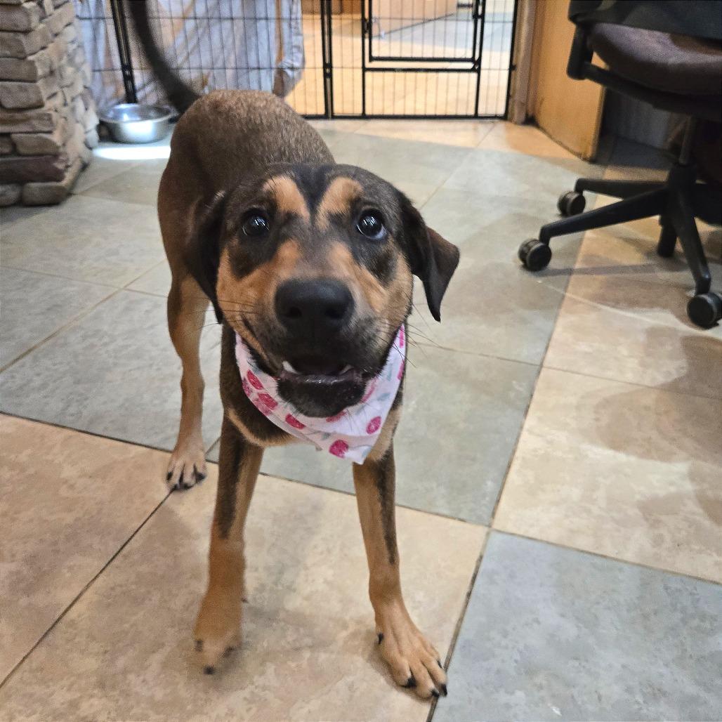 Cherry — thumbnail 5