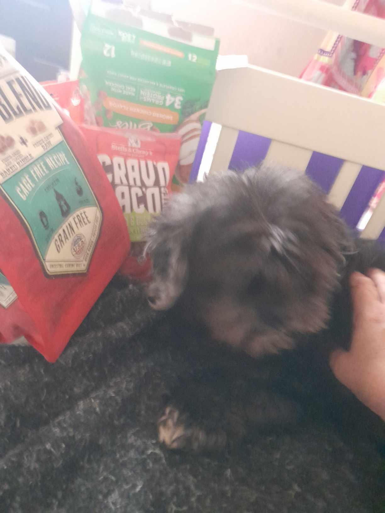 Snickers thumbnail 3