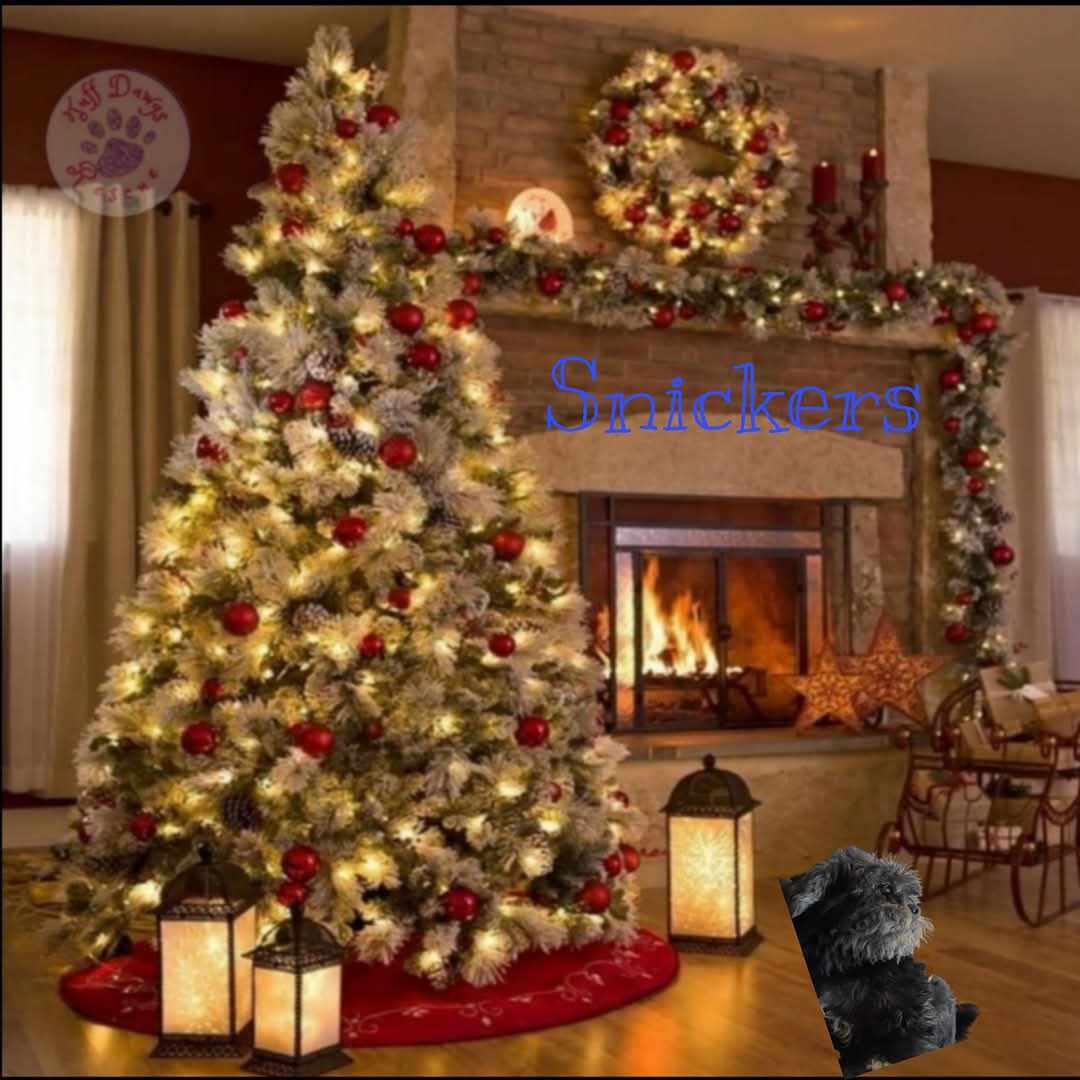 Snickers thumbnail 2