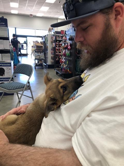 Enlarge Zara, an adopted mixed breed in Monrovia , CA image 4/5