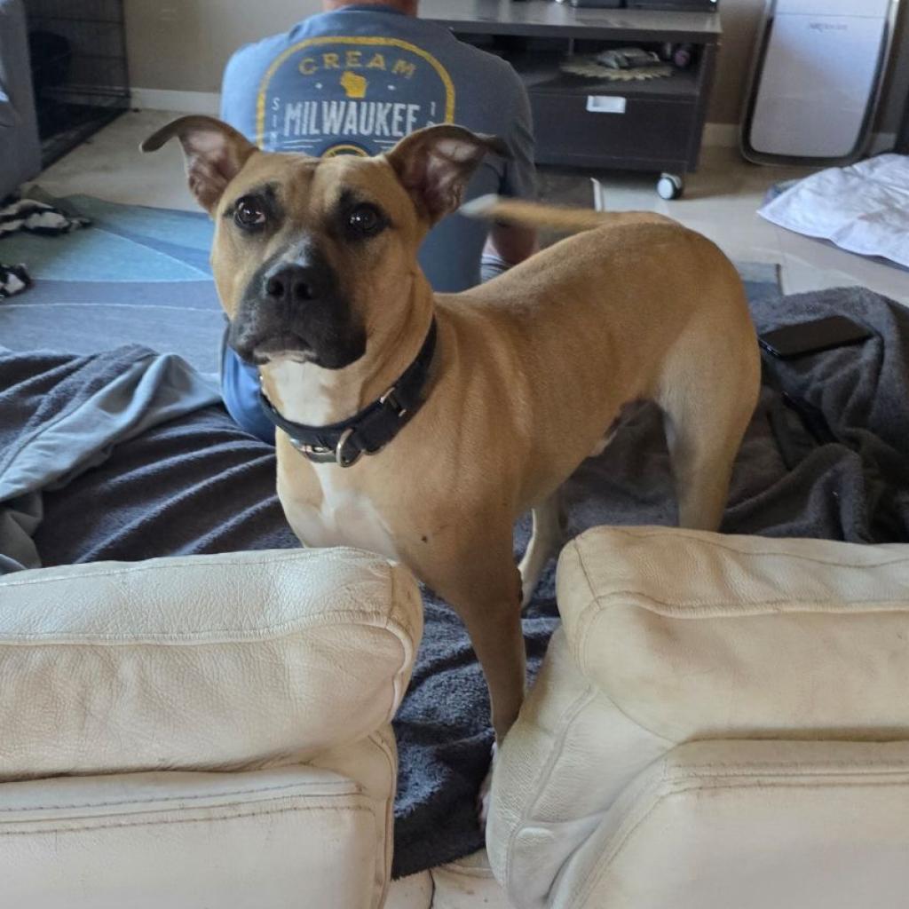 Fanboy — thumbnail 2