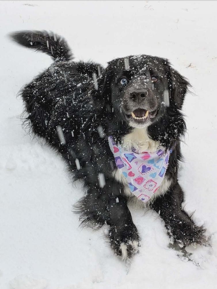 Pastrami On Rye thumbnail 2