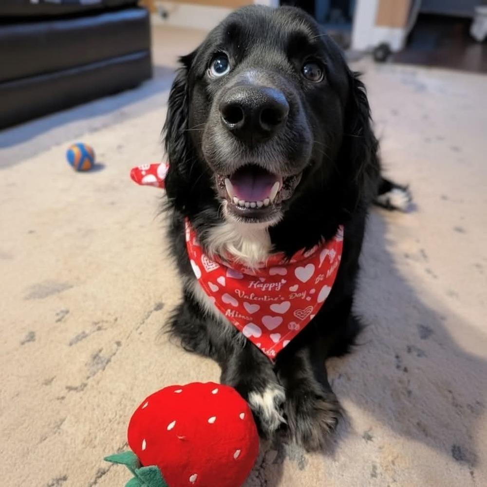 Pastrami On Rye thumbnail 3