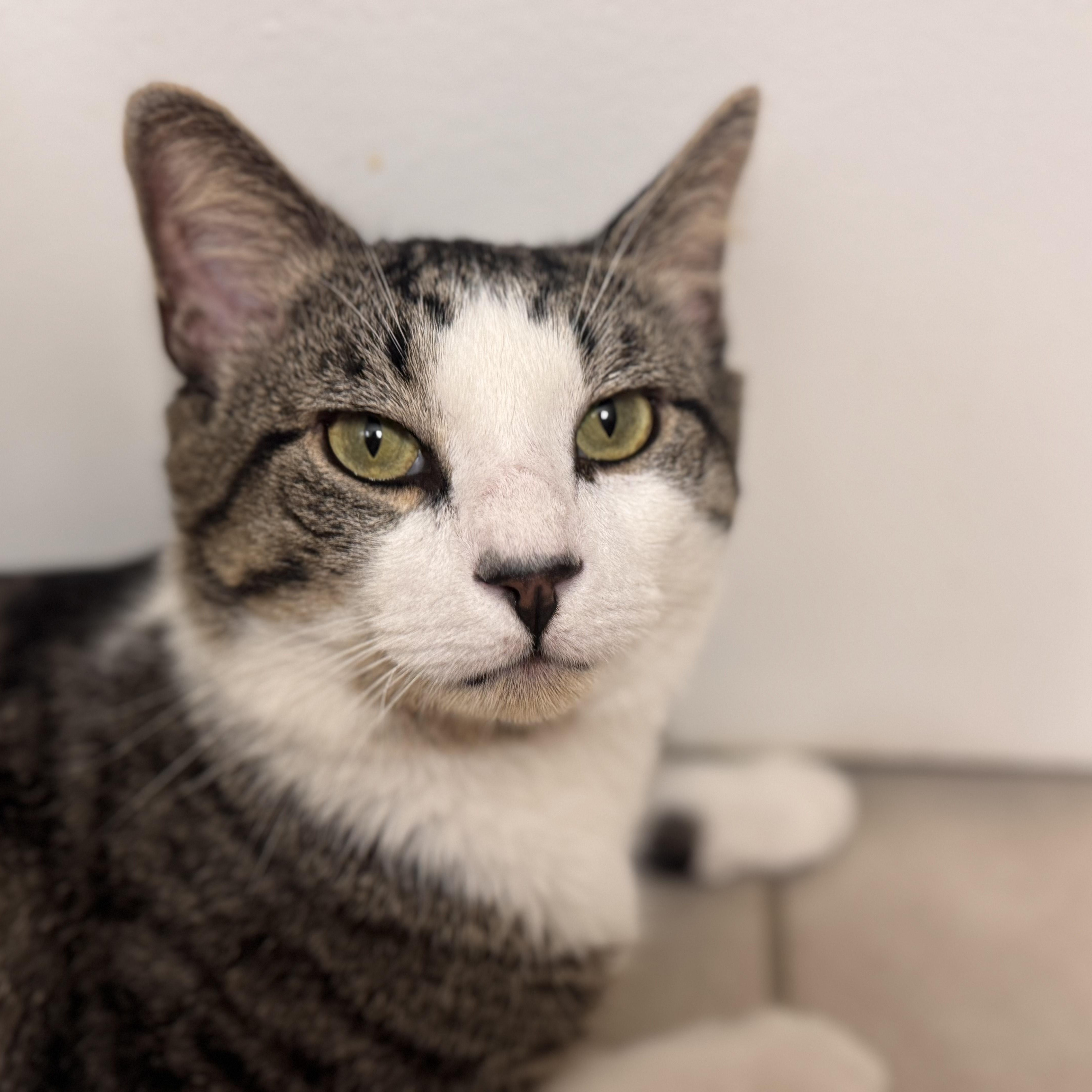 Winston, Adult Male unknown