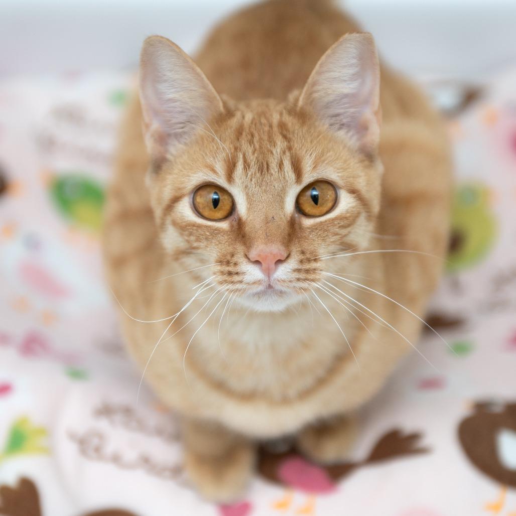 Emery — thumbnail 2