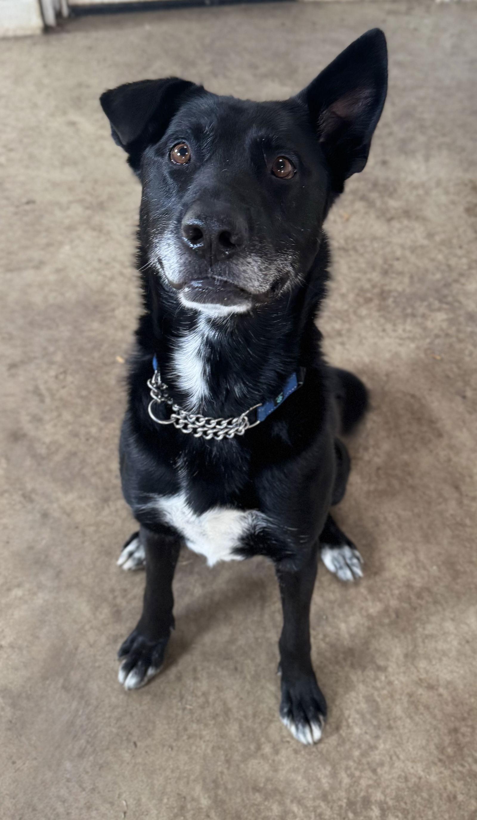 Big Mac — thumbnail 3