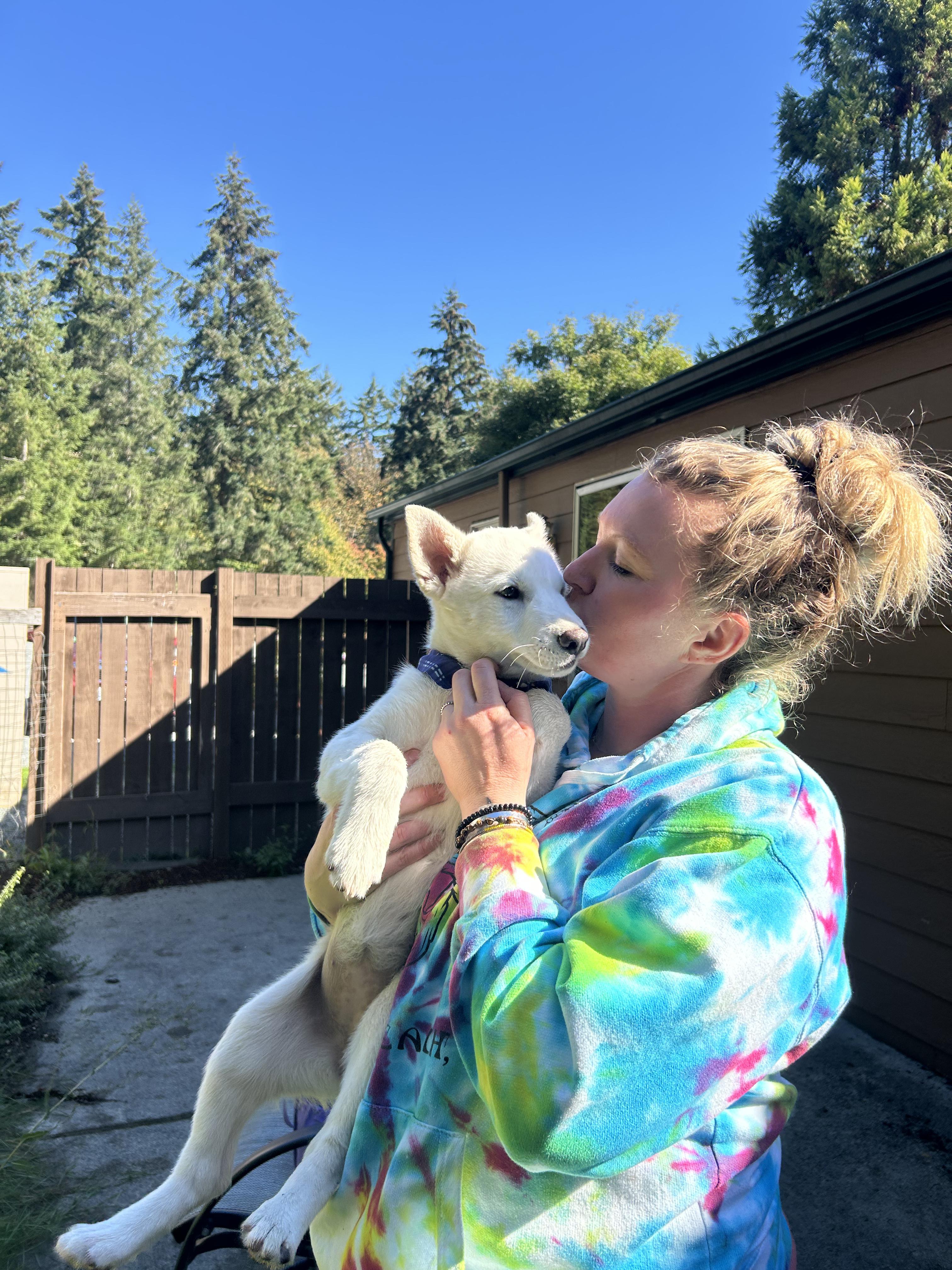 Enlarge Snowball, a Adoptable mixed breed in AUBURN, WA image 2/4
