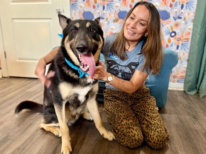 Charlie Loyal Love — thumbnail 3