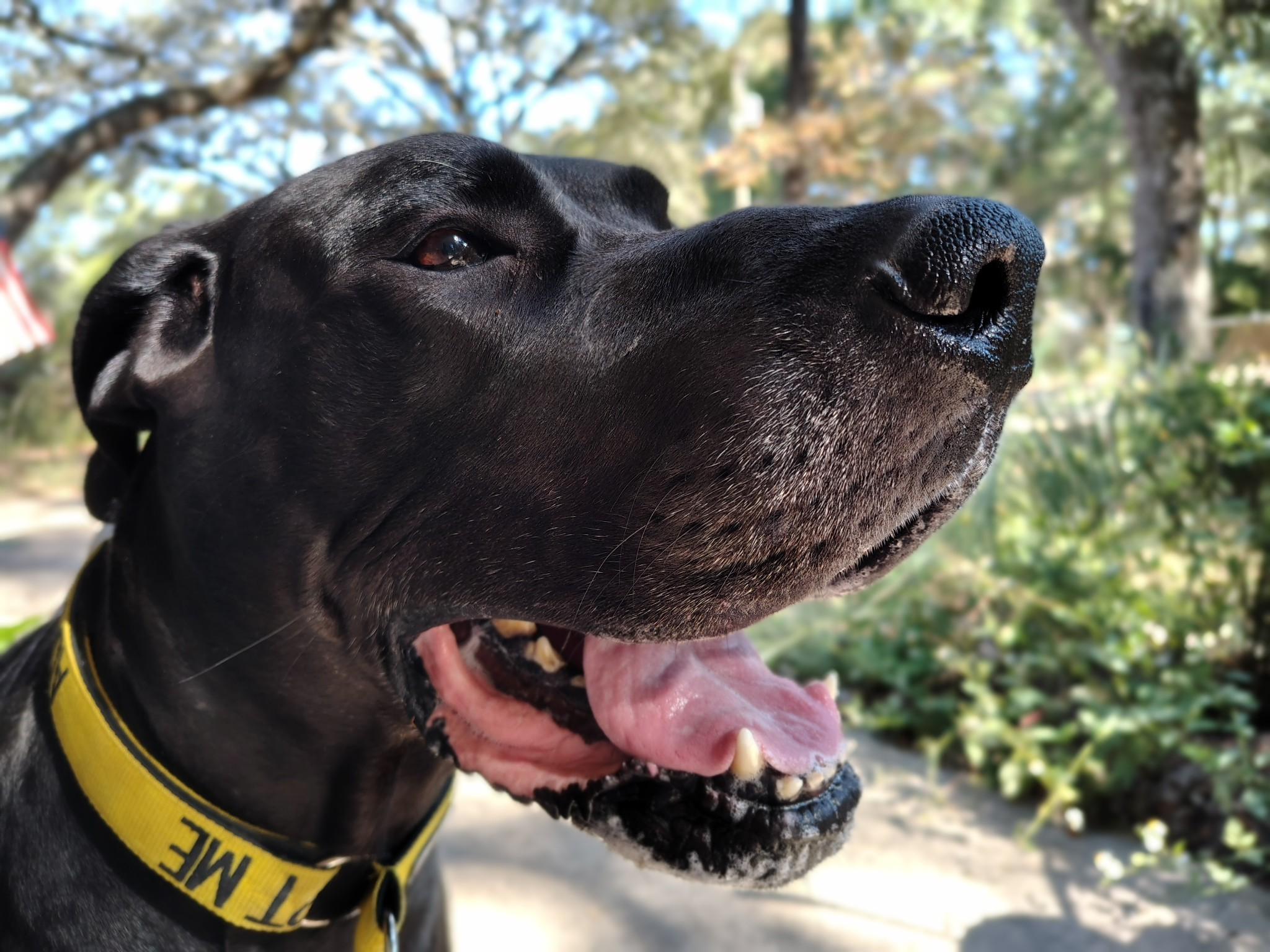 Bane — thumbnail 3