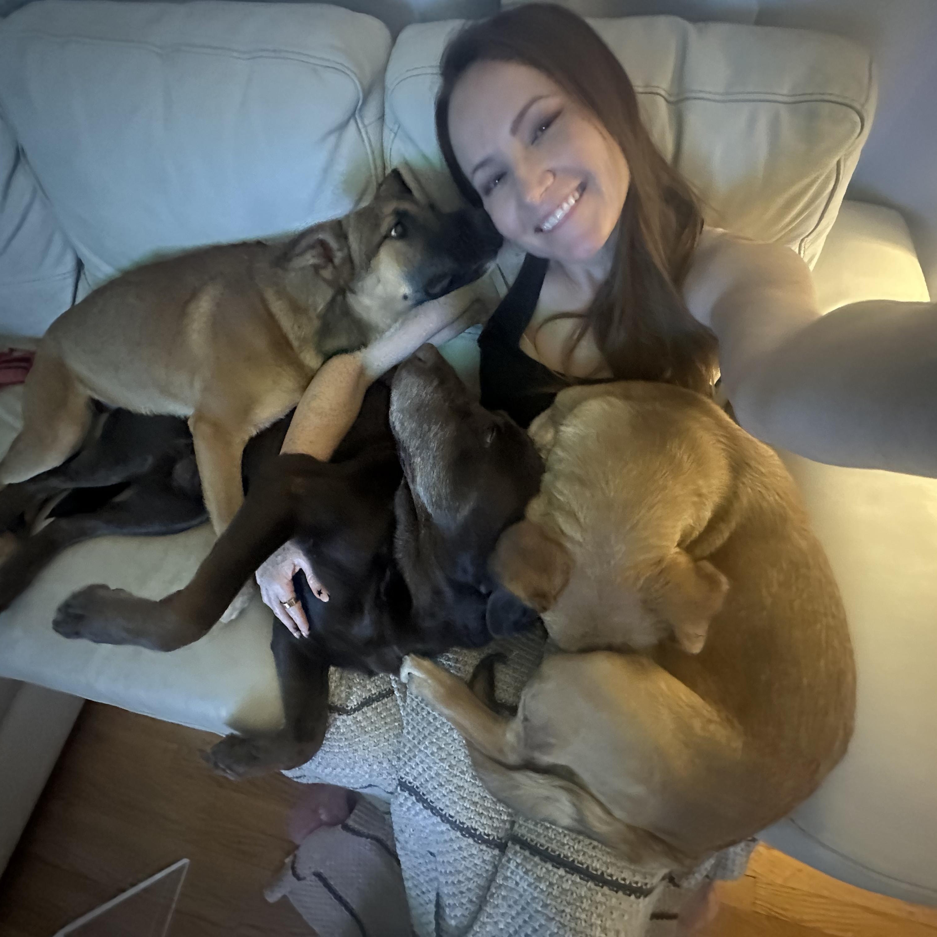 Enlarge NALA!, a Adoptable mixed breed in San Deigo, CA image 2/6