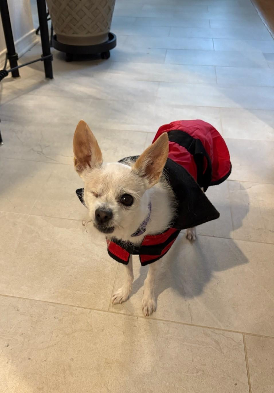 Charlotte thumbnail 5