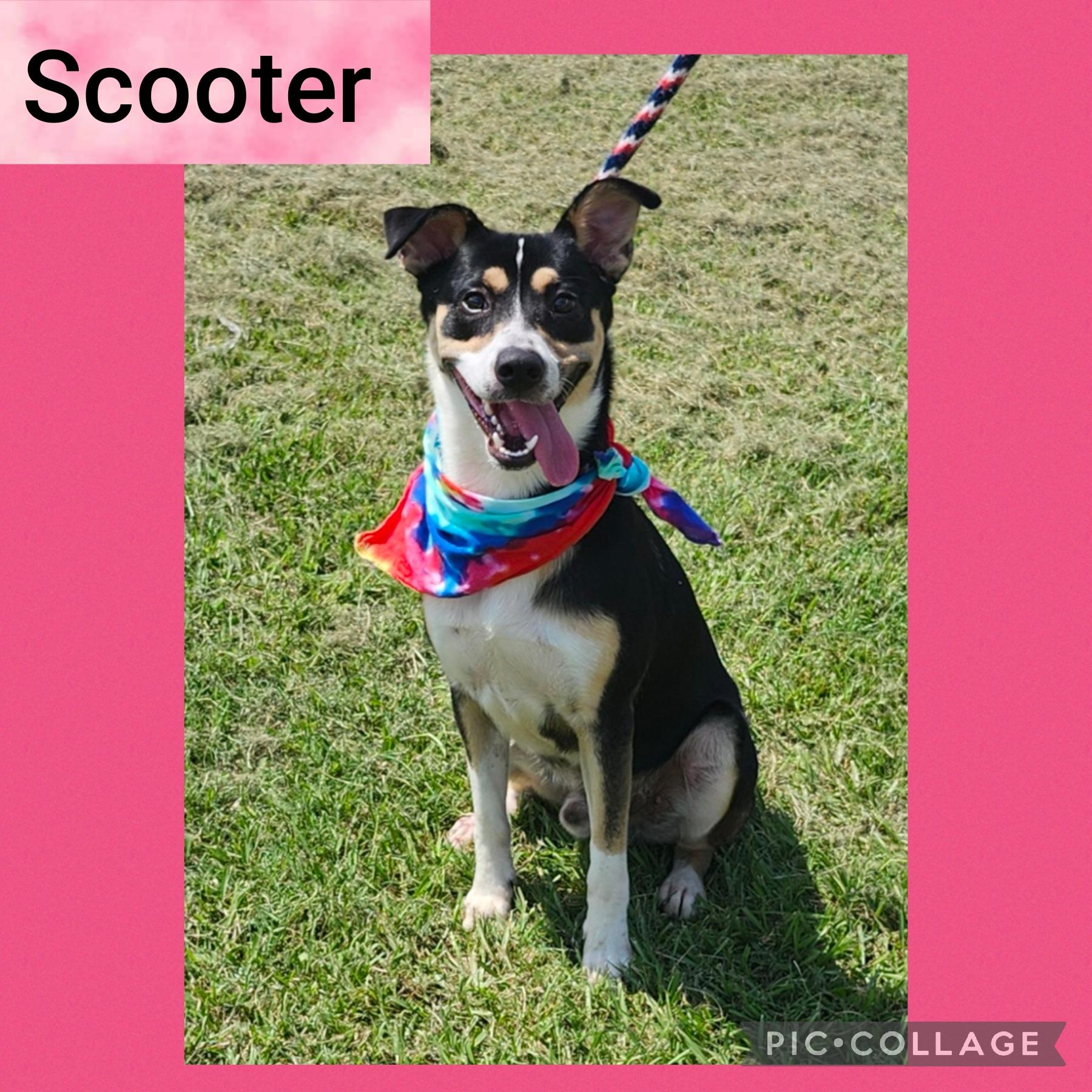 Scooter