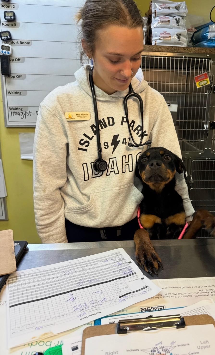 Enlarge Lula Fern, a Adopted Mixed Breed in Ogden, UT image 5/6