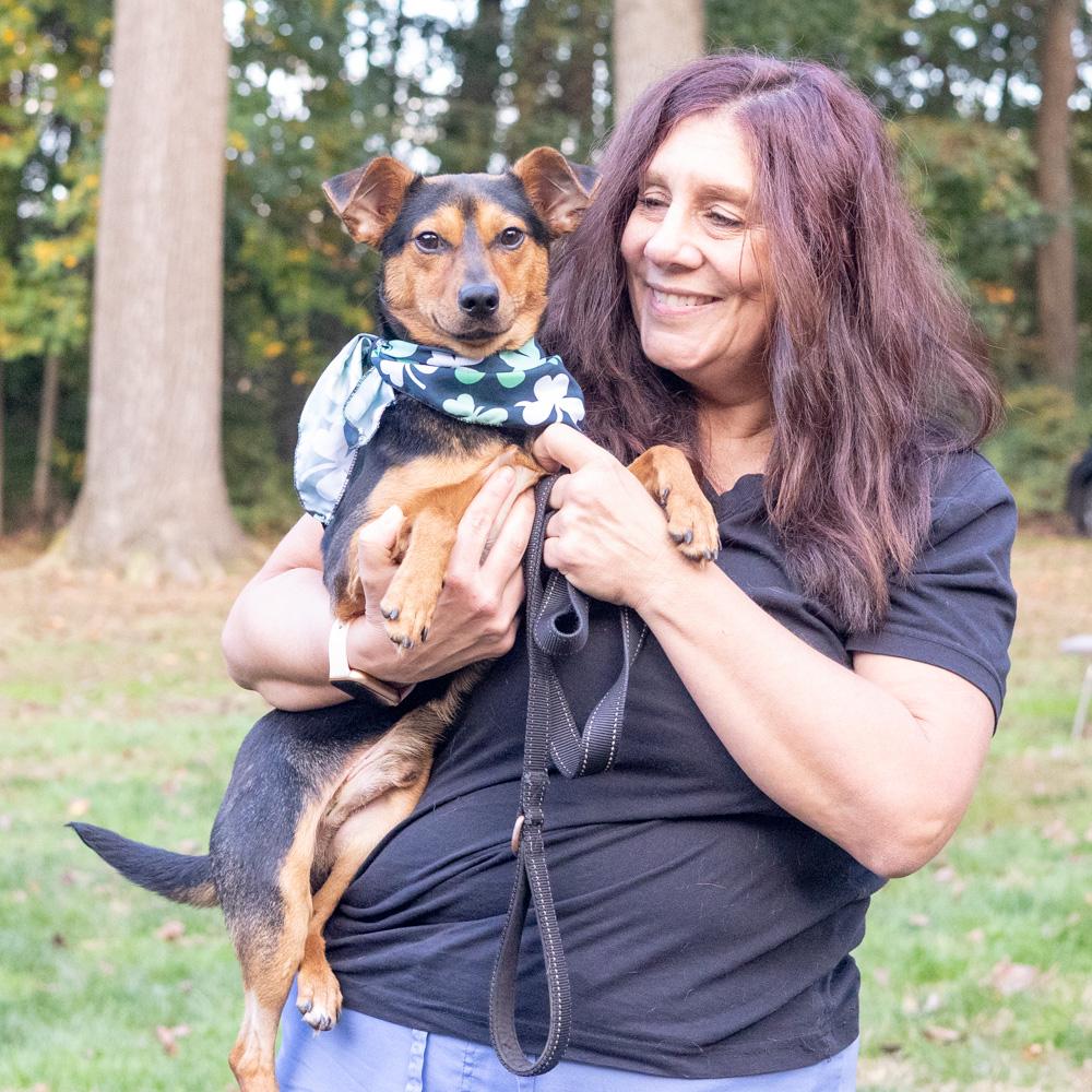 Enlarge Dexter (Male) Avail 10/24, a Adoptable mixed breed in West Grove, PA image 4/6