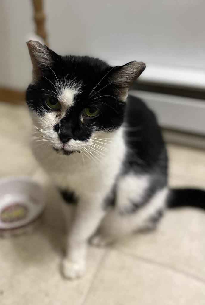 Ella — thumbnail 2