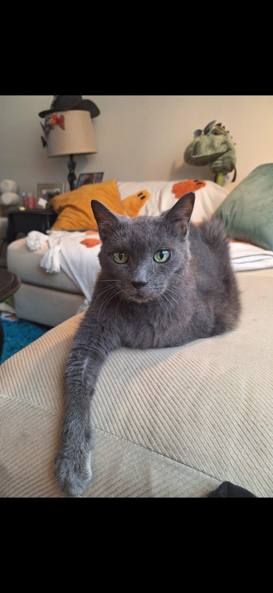 Rosemarie — thumbnail 2