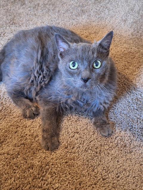 Rosemarie — thumbnail 3