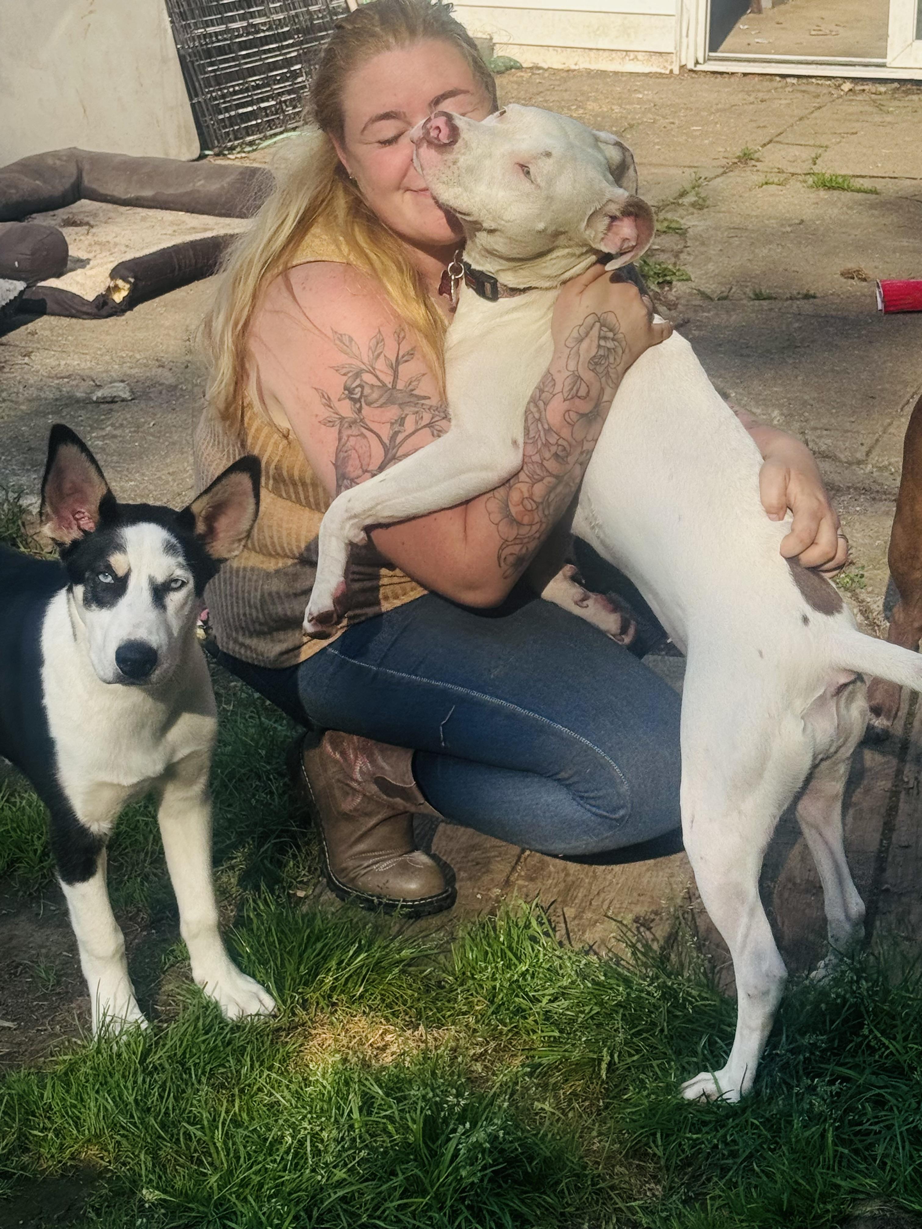 Pearl (Jaime - Fostered in New England) photo 5