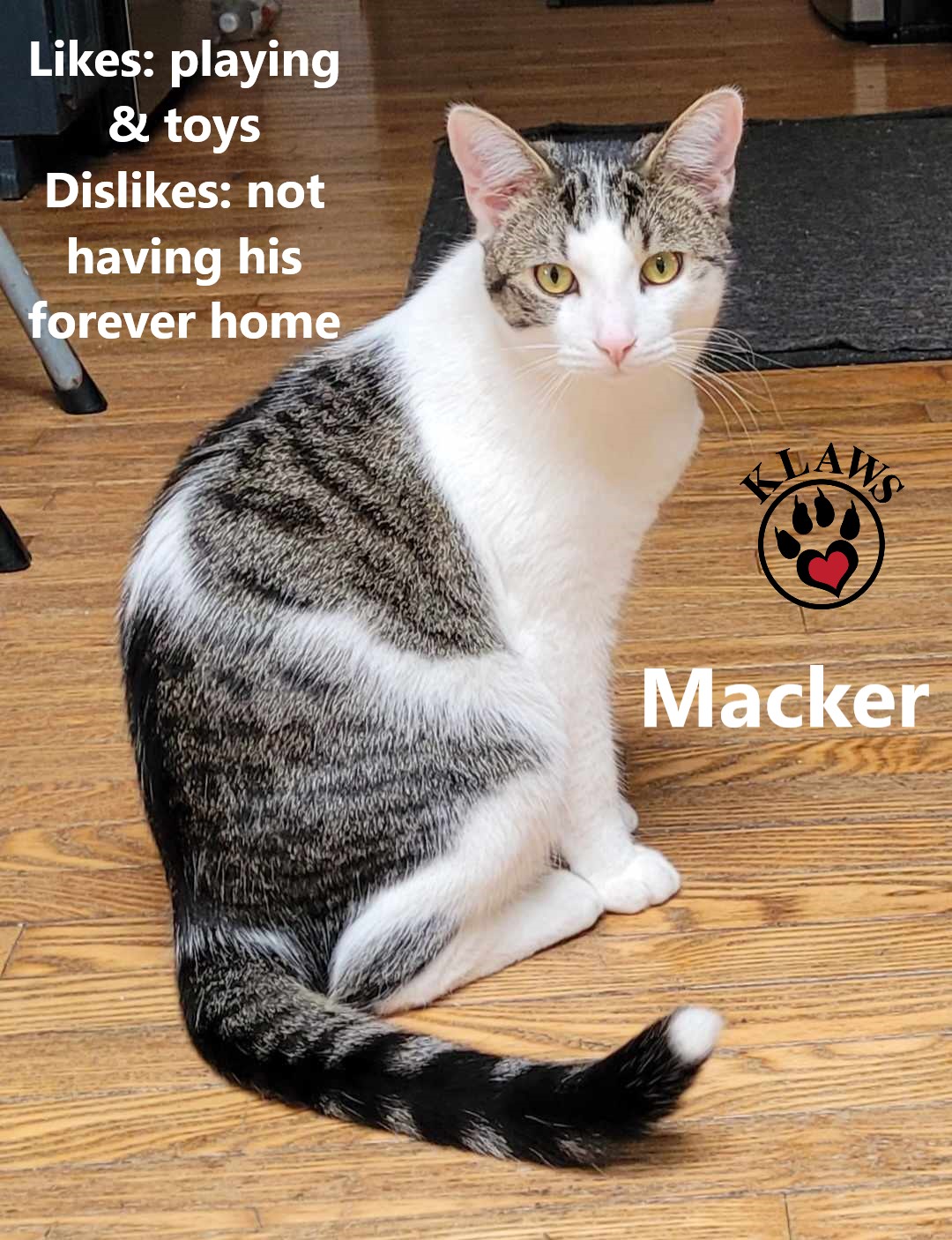 Macker photo 4