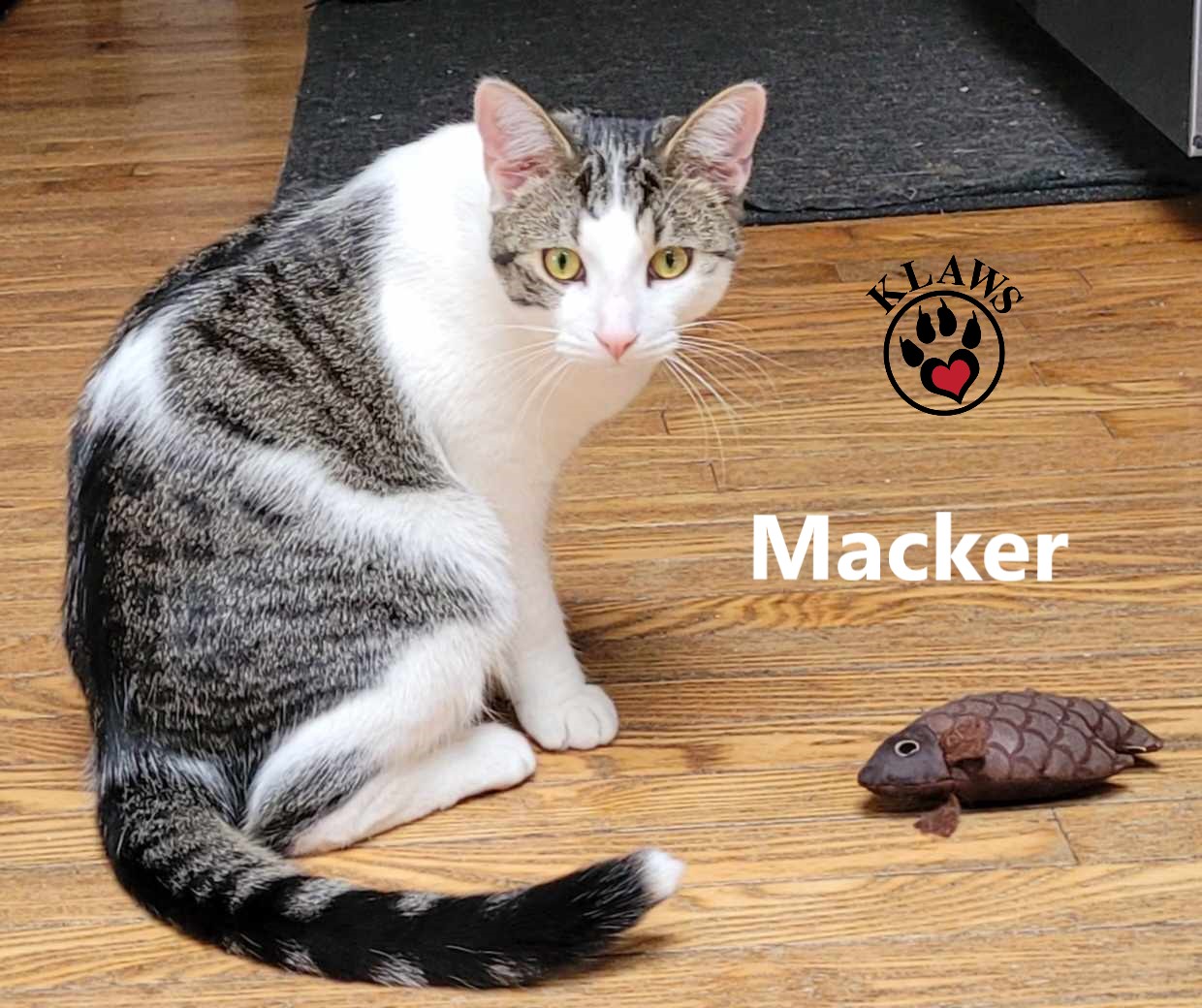 Macker photo 5