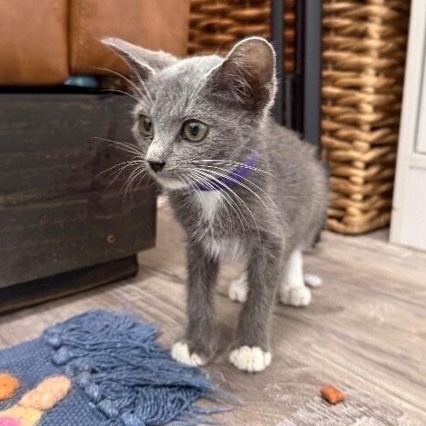 Joanne Marie TCHS — thumbnail 3