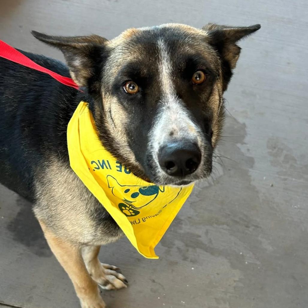 Mama Mia thumbnail 2