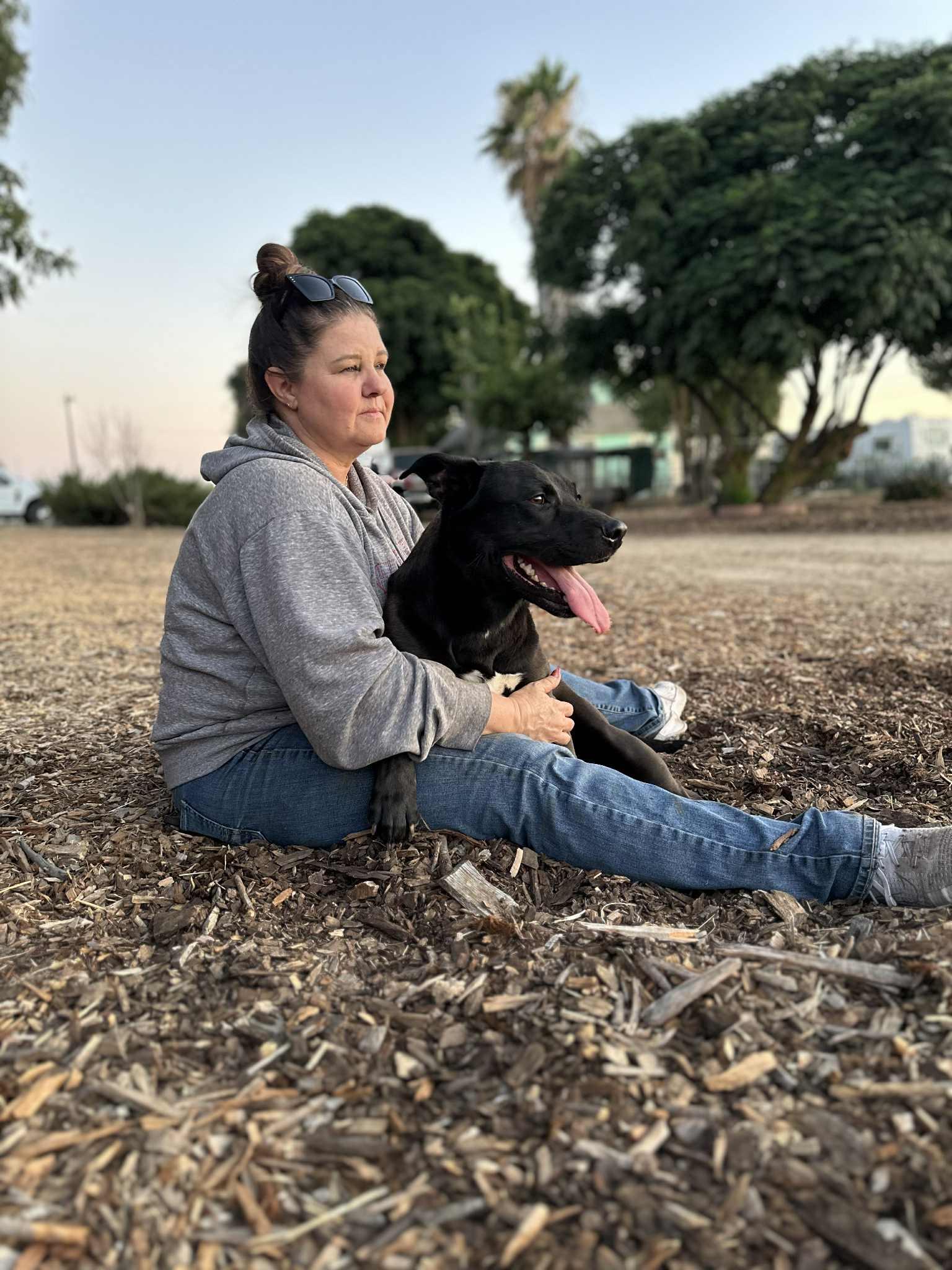 Buddy, a Adoptable mixed breed in Modesto , CA image 2/5