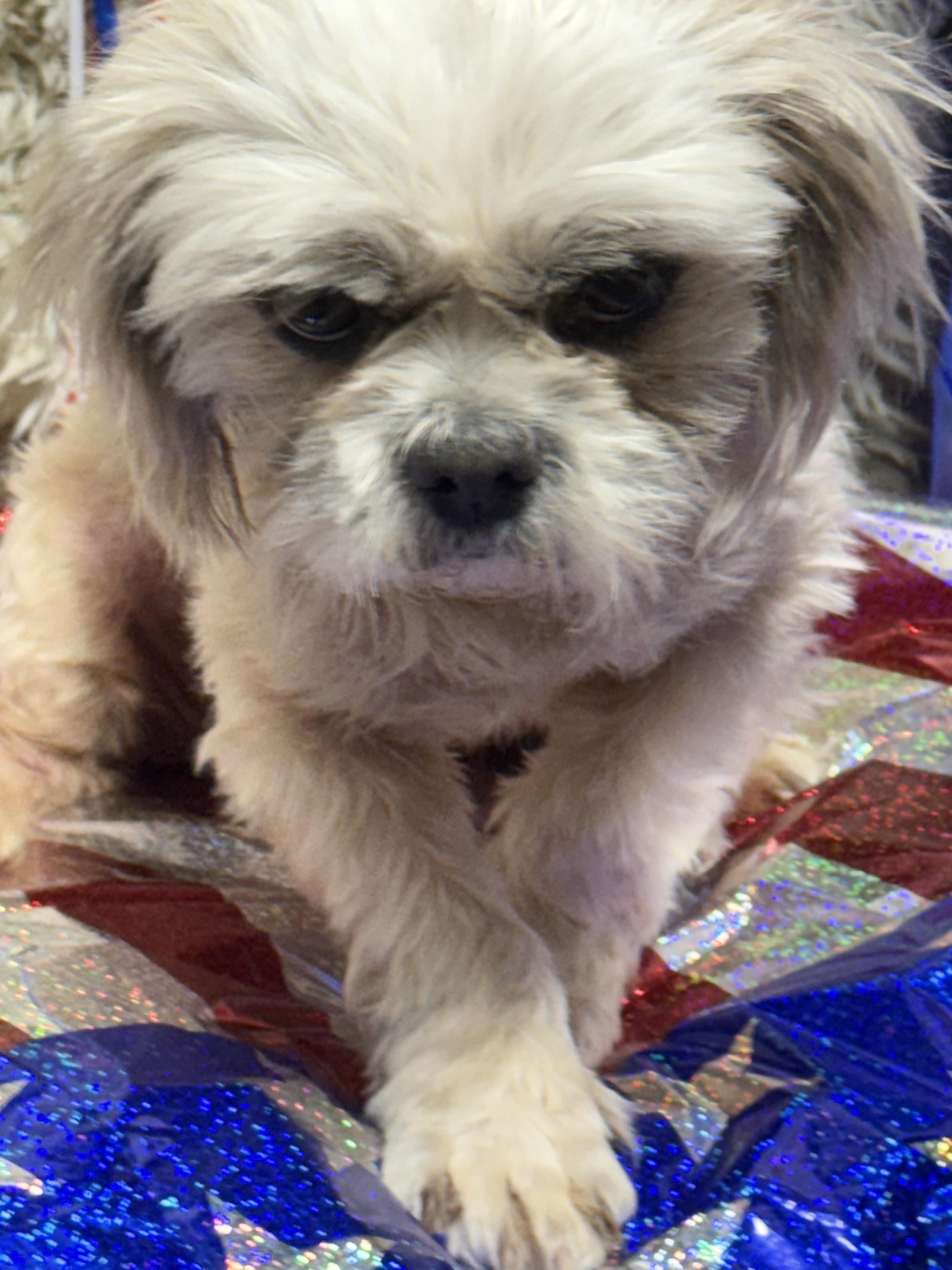 Grover 3