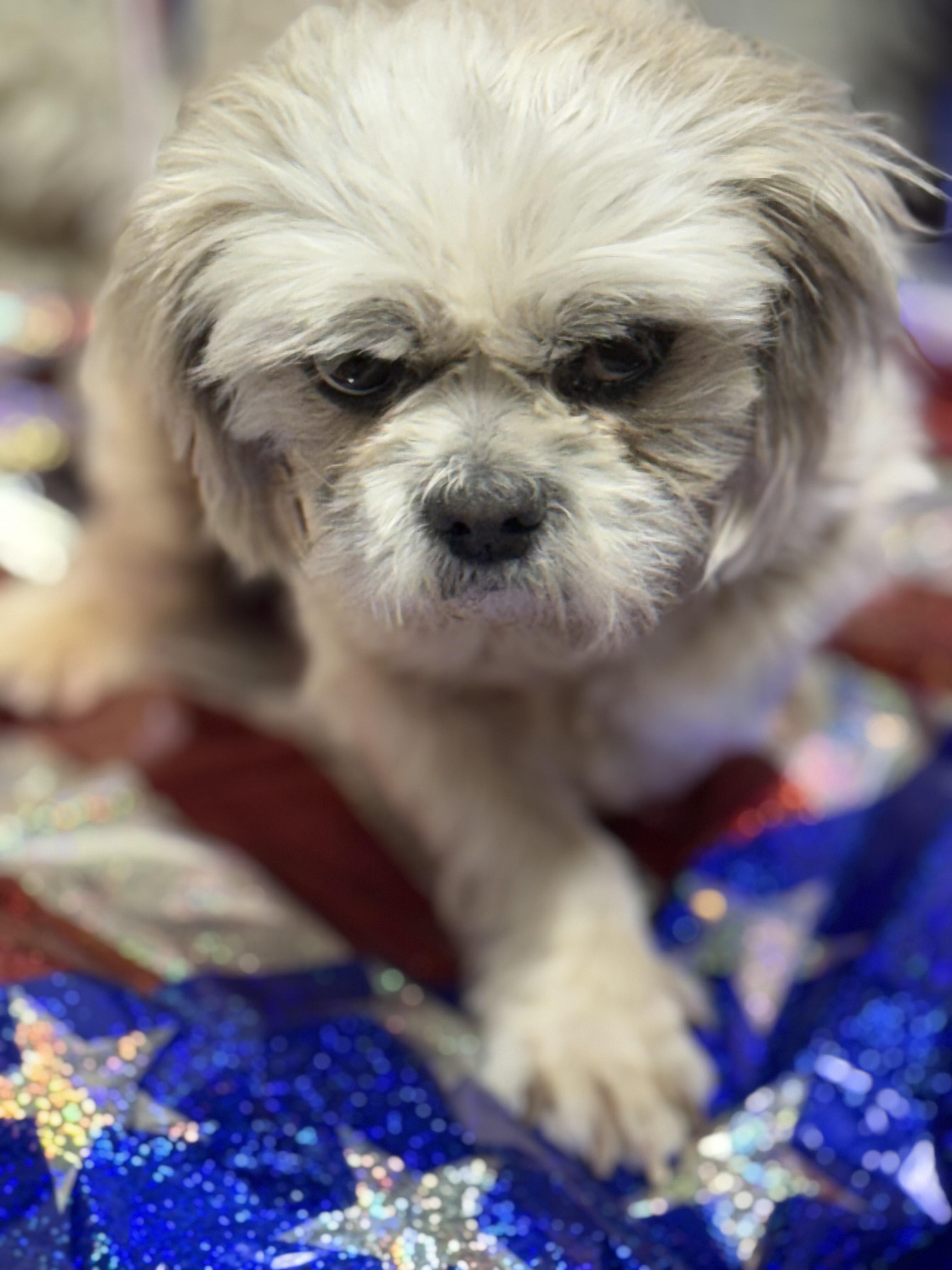 Grover 2