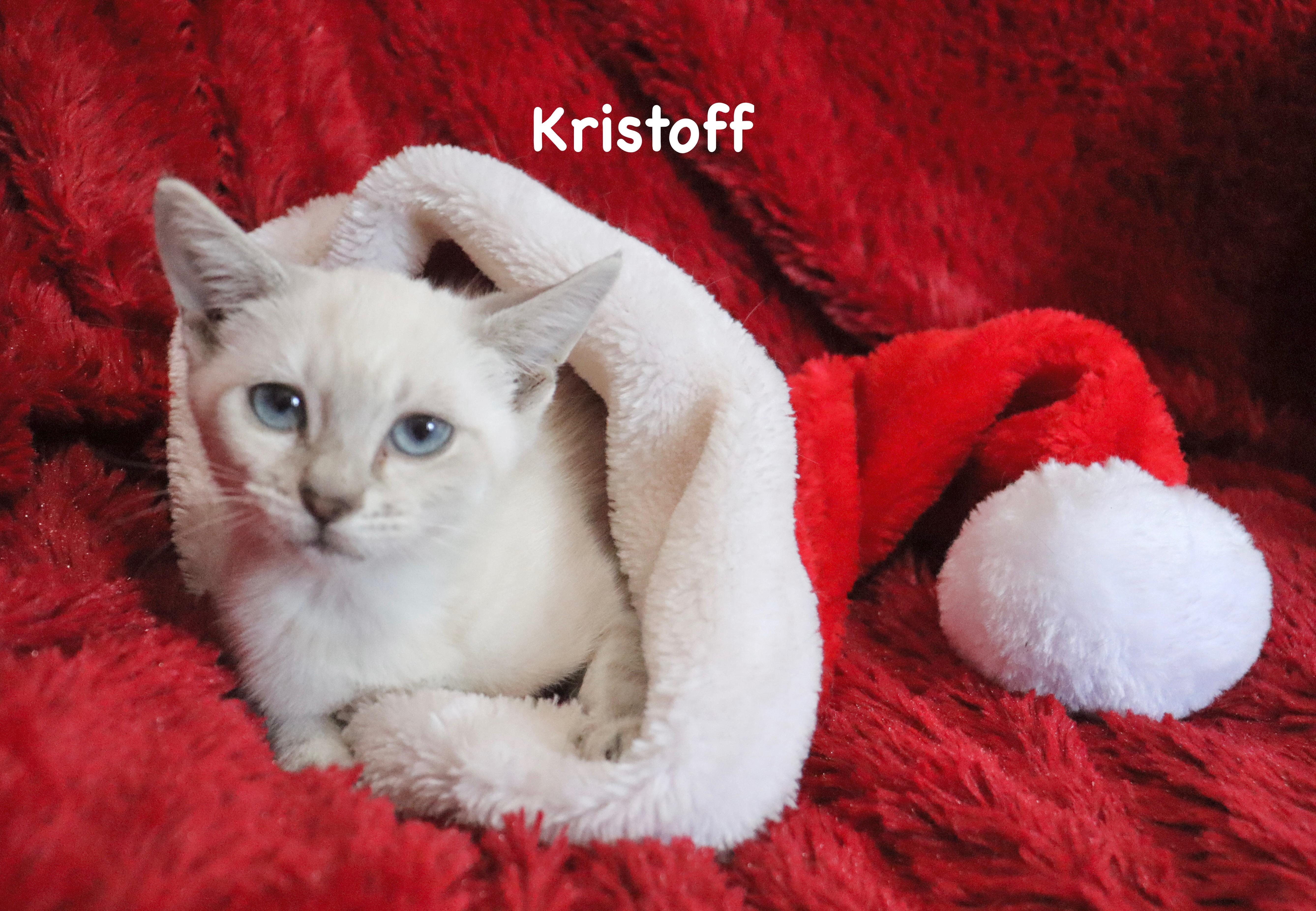 Kristoff