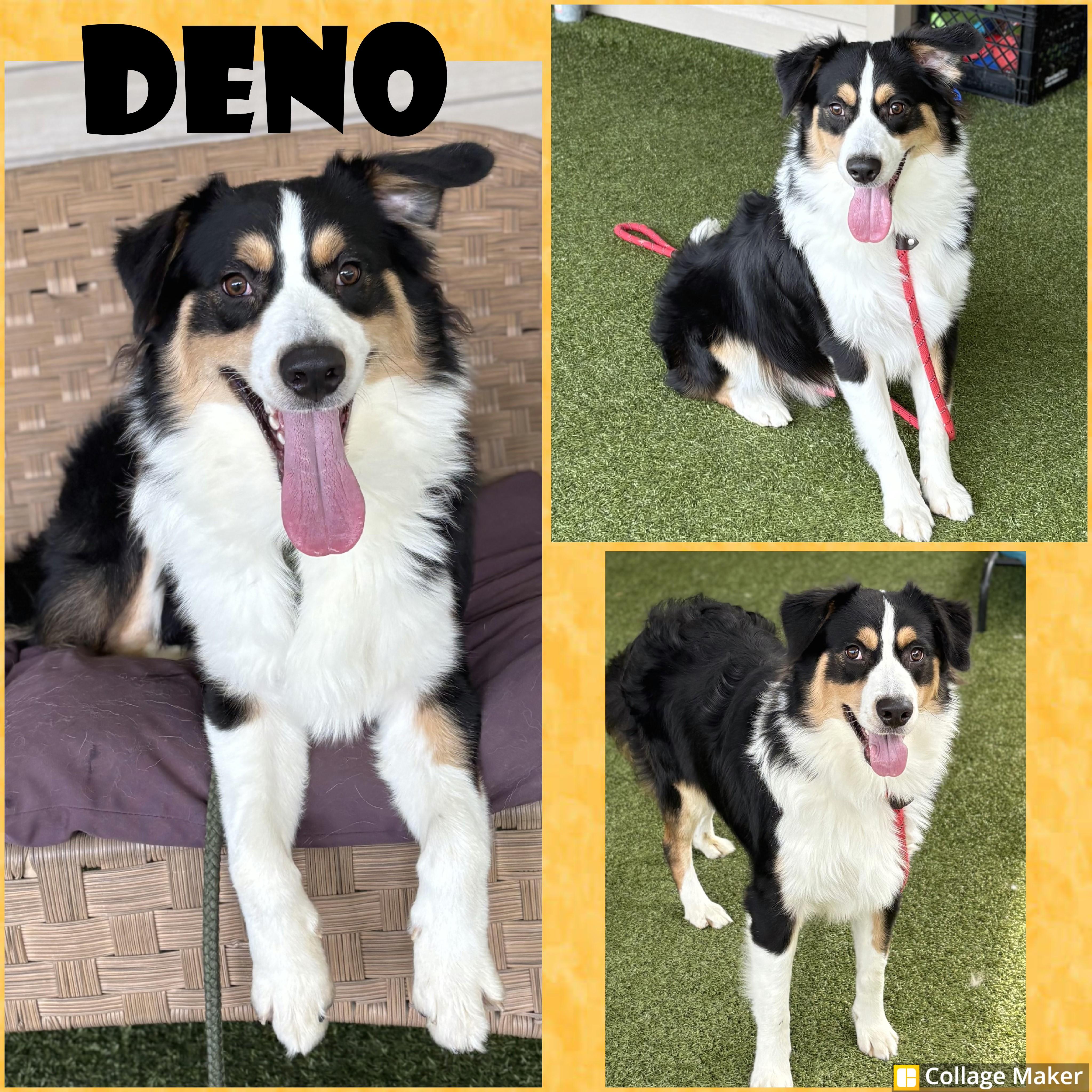 Deno