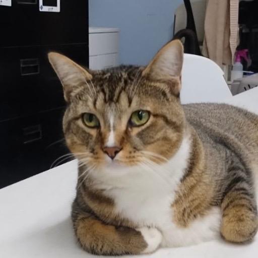 TOBY — thumbnail 4