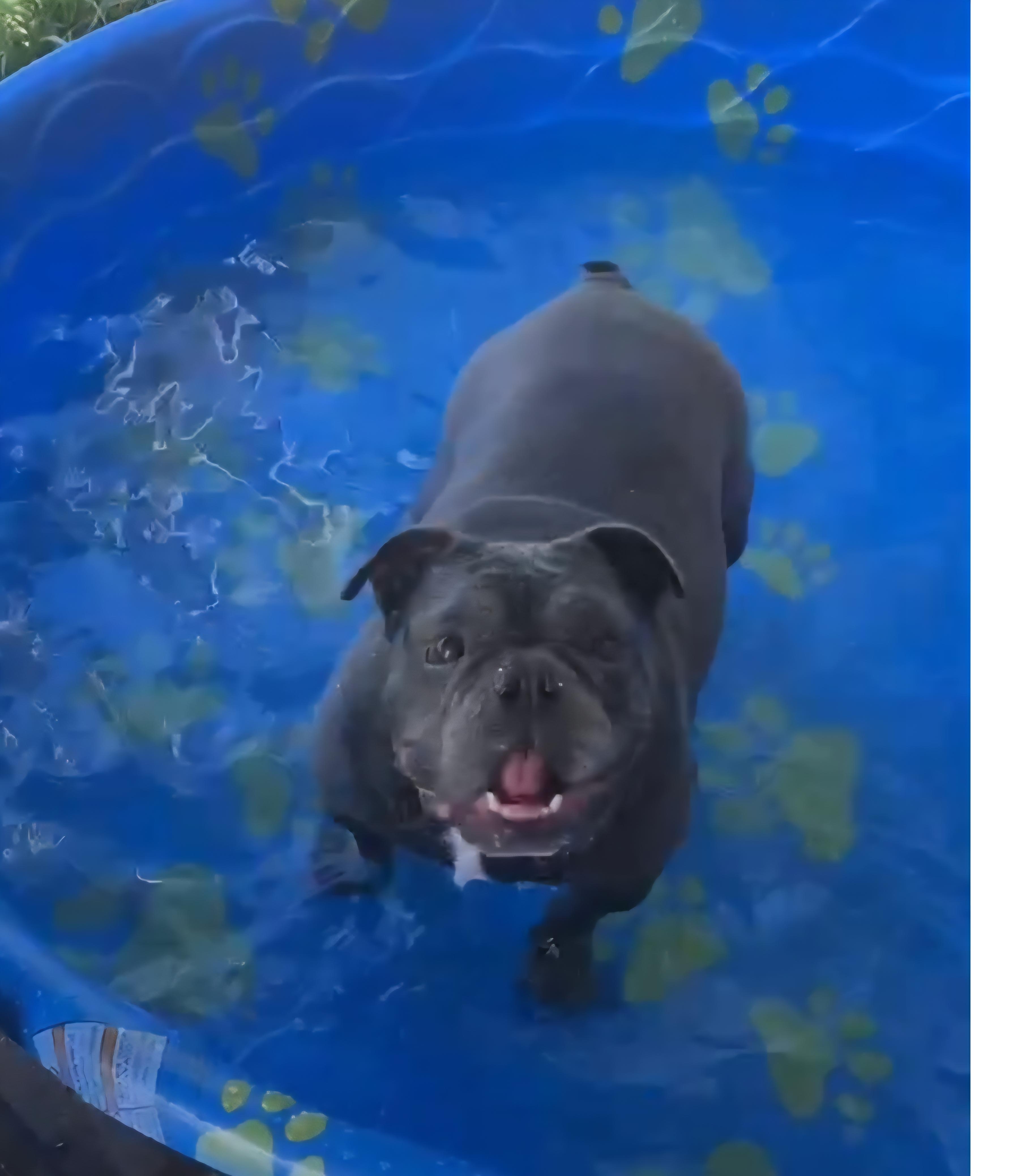 LOLA