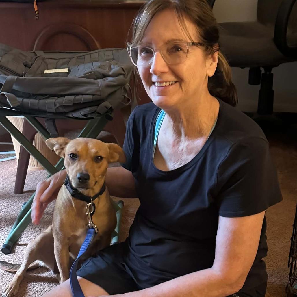 Enlarge Goldie, a Adoptable Terrier in Natchitoches, LA image 2/6