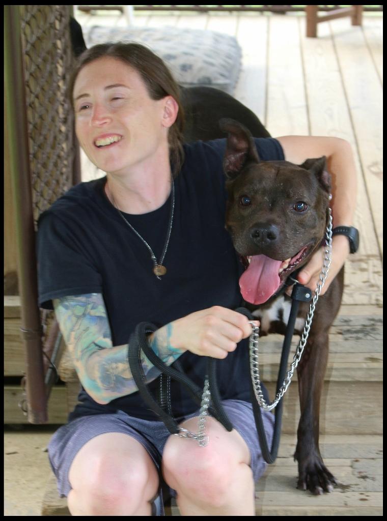 Finster, a Adoptable Pit Bull Terrier in Shippenville, PA image 2/6