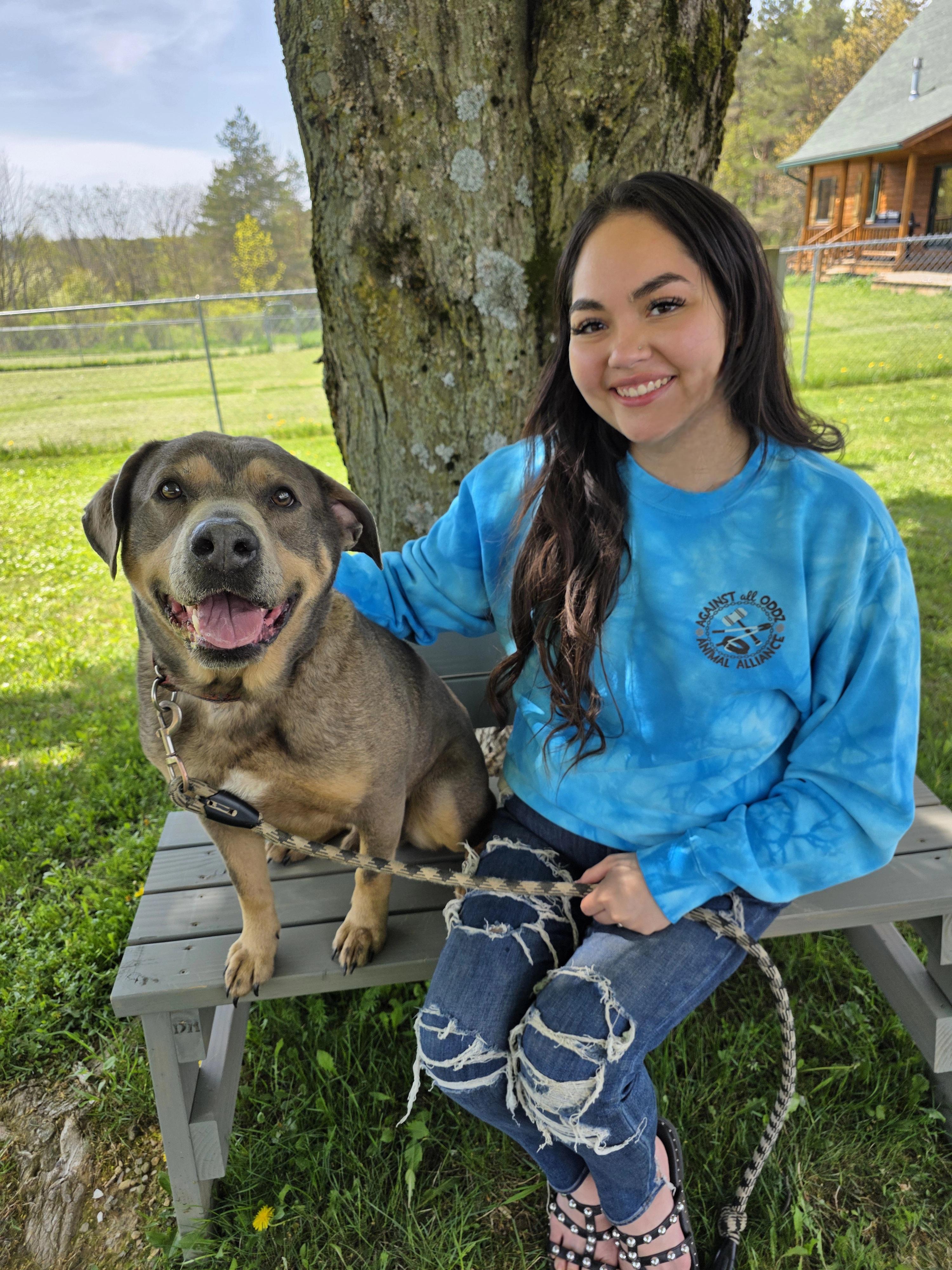 Tank, a Adoptable mixed breed in Darien Center, NY image 2/5