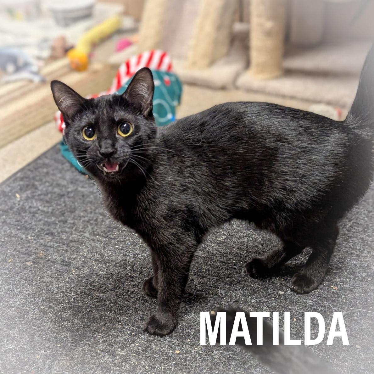 MATILDA
