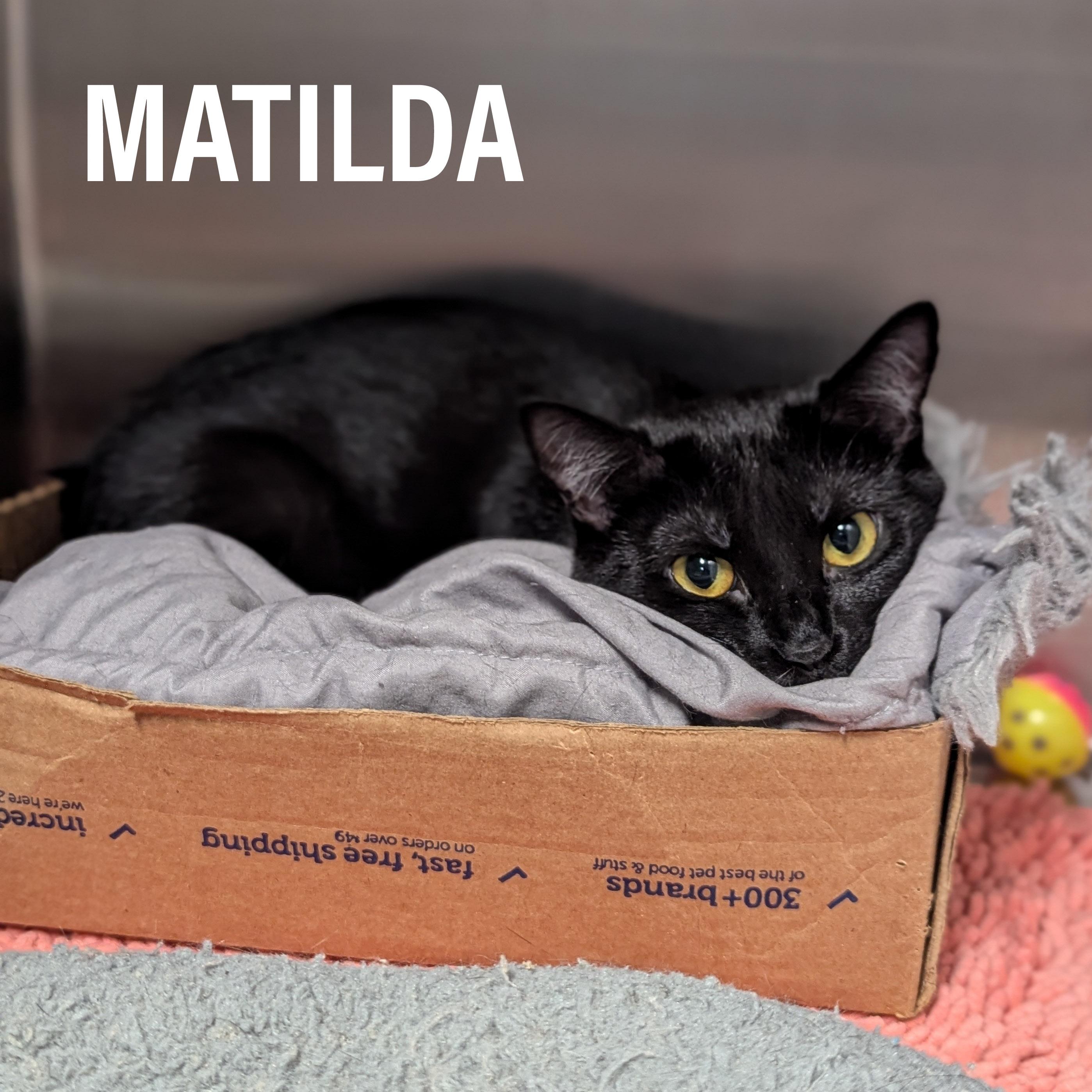 MATILDA