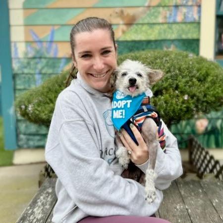 Neptune, a Adoptable Poodle in Pacific Grove, CA image 5/6