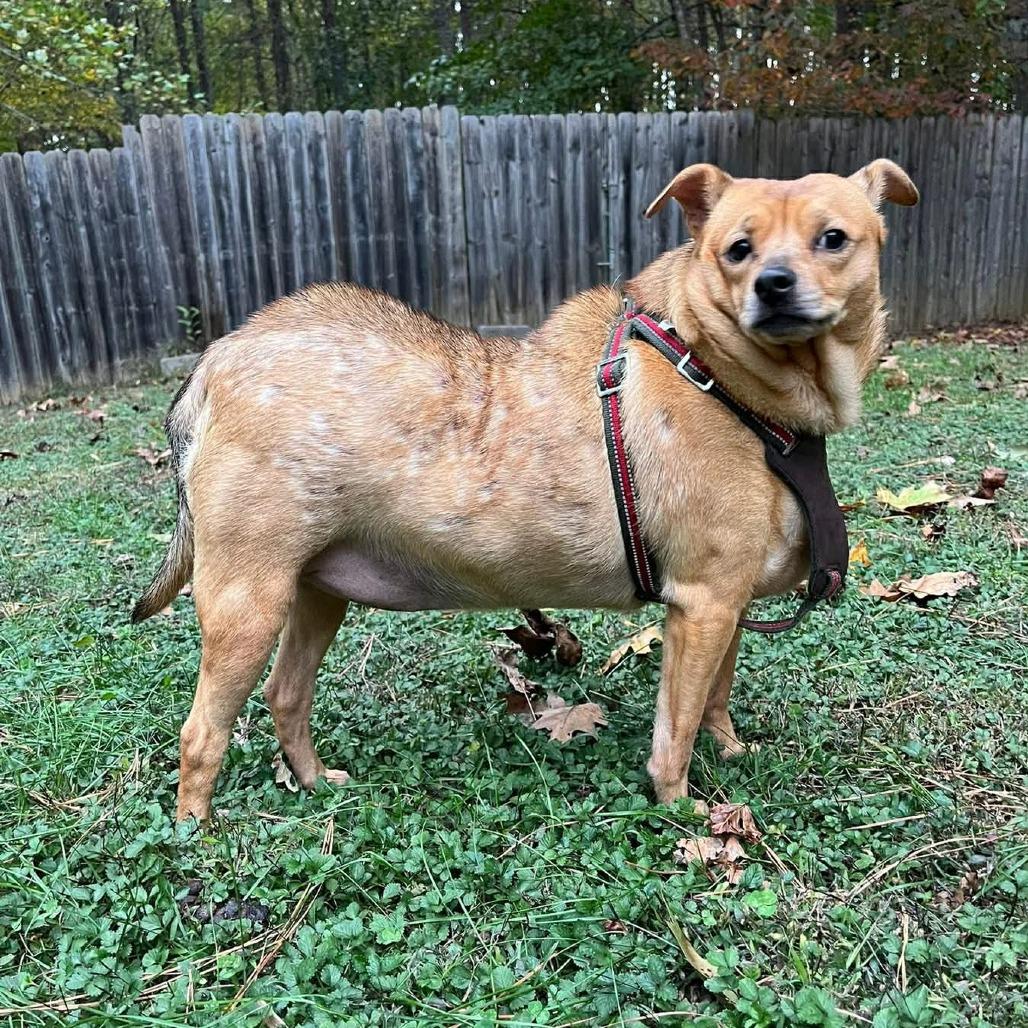 Samara — thumbnail 2