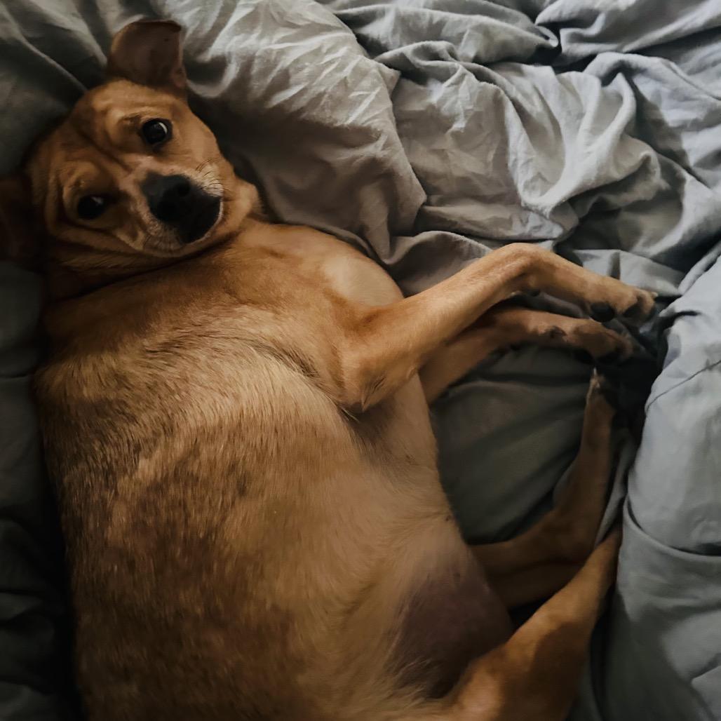 Samara — thumbnail 3