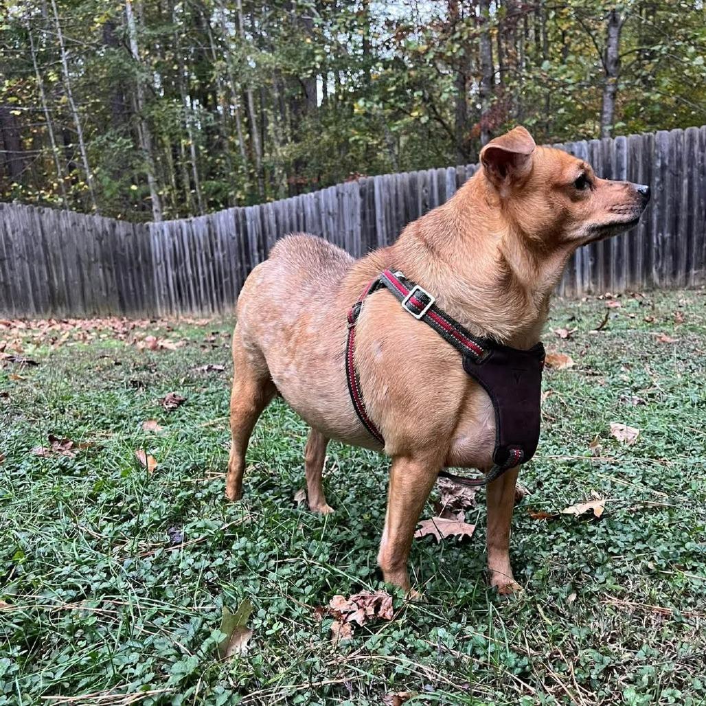 Samara — thumbnail 4