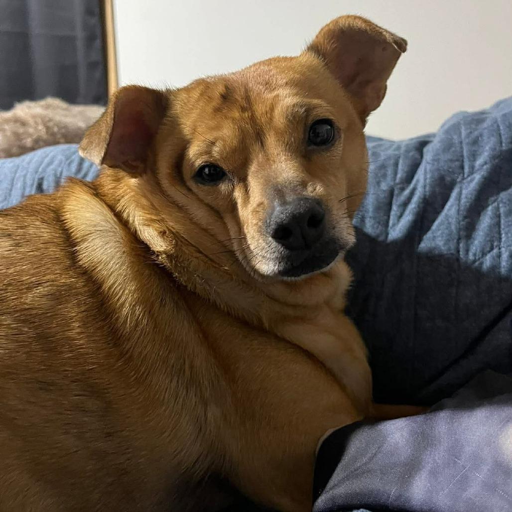 Samara — thumbnail 5